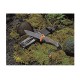 Нож за оцеляване Ultimate Bear Grylls, за къмпинг, 25 см, комплект за оцеляване + кания